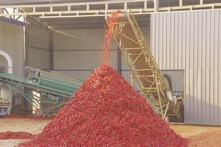 辣椒用什么肥料好？