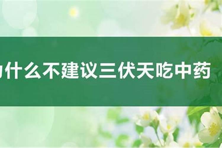 一到三伏天,这4种花就一脚踏入“鬼门关”,切勿大意!