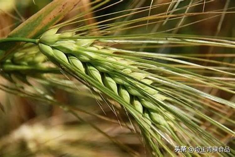 种菜复合肥怎么使用正确 多久施一次