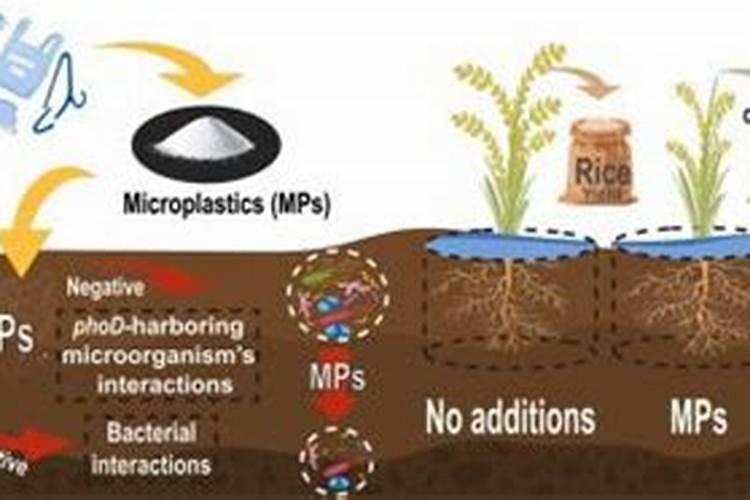 柑橘专用叶面肥哪个好？柑橘专用肥用什么好？柑橘肥料用“昆仑风”