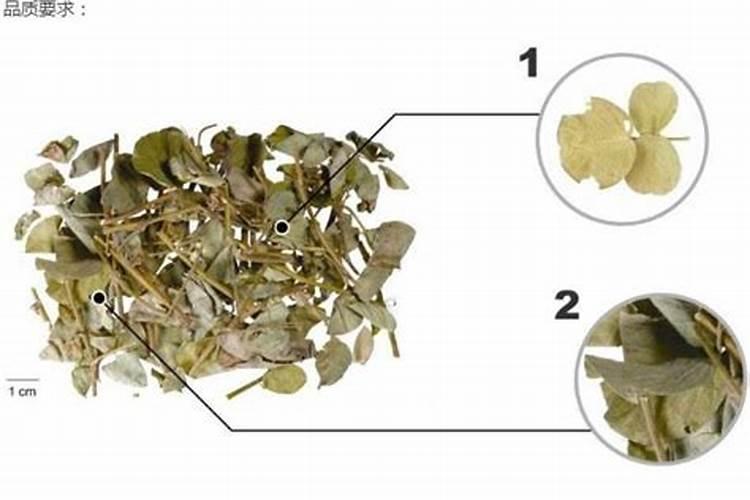 金钱草用什么肥料好