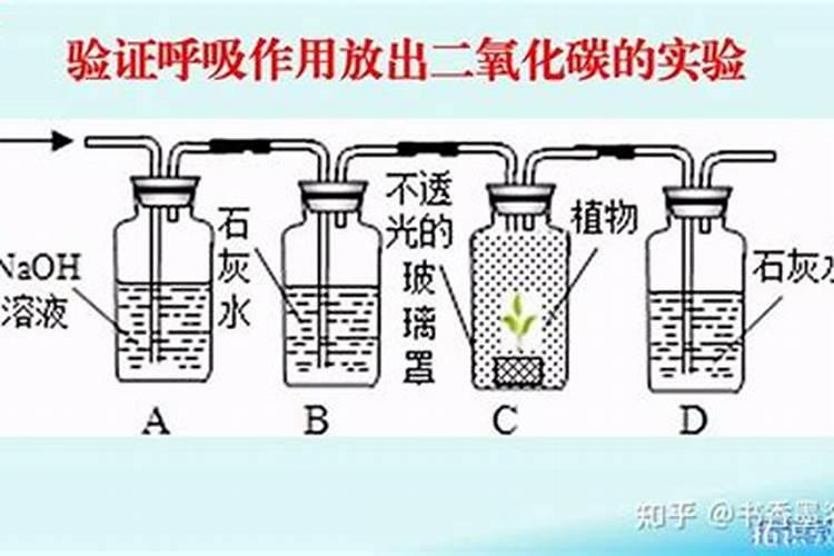 磷肥对植物的作用