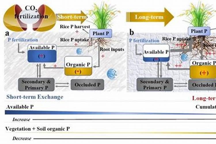 磷肥的生产过程复杂么,我想自己开厂生产,需要学习什么知识啊？