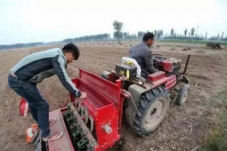 禾本科作物秸秆还田时为什么要配施速效性化学氮肥