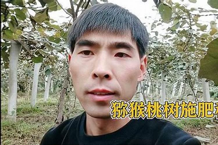 猕猴桃施什么肥料