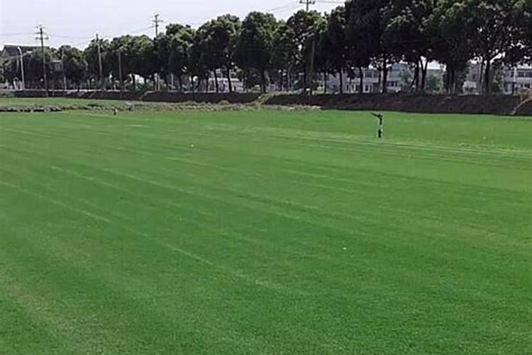 氮磷钾复合肥使用方法