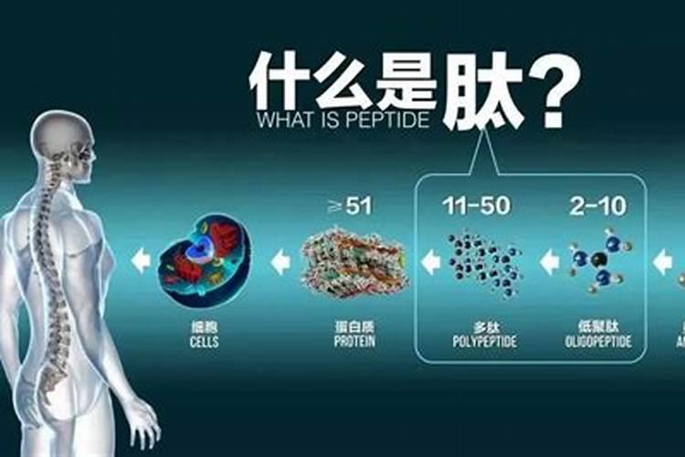 优肽氮肥主要功效是什么