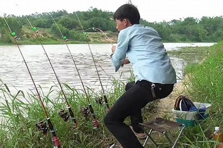 蚯蚓喂鱼有什么好处