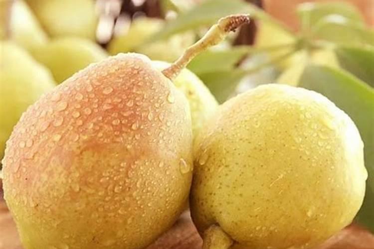 黑龙江省可以种植南果梨吗？