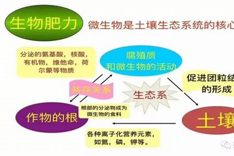 如何挑选、施用“有机质水溶肥”