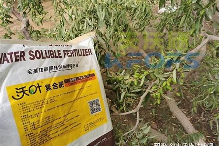 果树用水溶肥好还是复合肥好(复合肥可以兑水浇果树吗)
