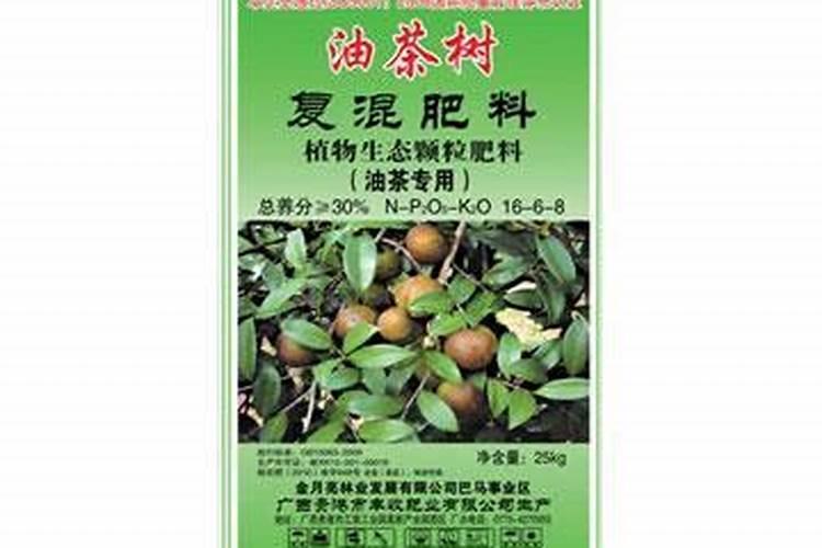 种植茶树需要注意哪些问题？