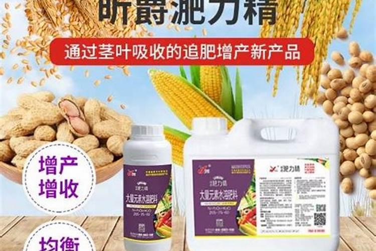 能不能讲讲光合碳肥究竟是什么东西