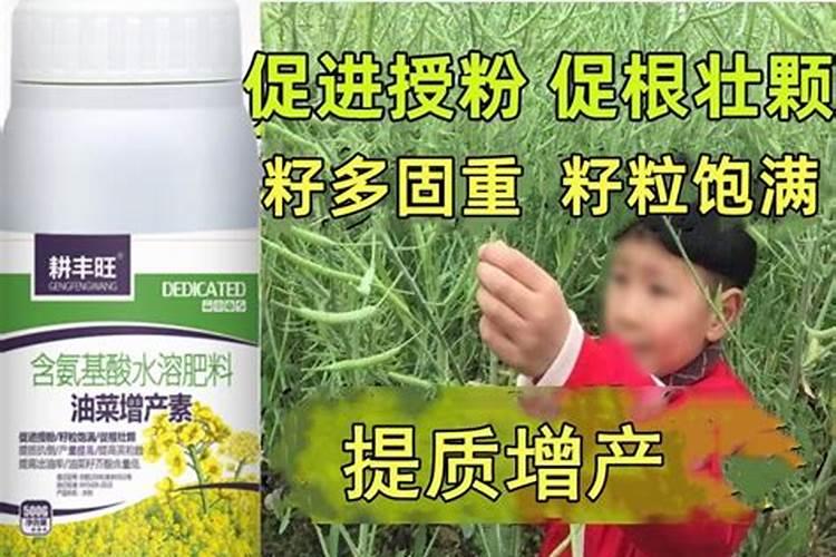 油菜专用复合肥多少钱一包花卉百科