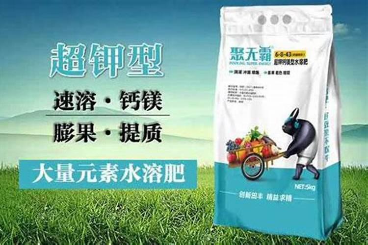 绿萝养护如何追肥 追什么肥