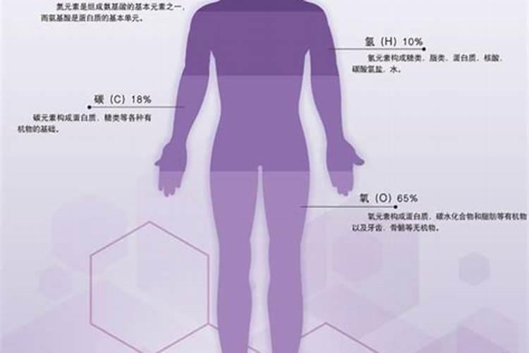 微量元素的食物有什么