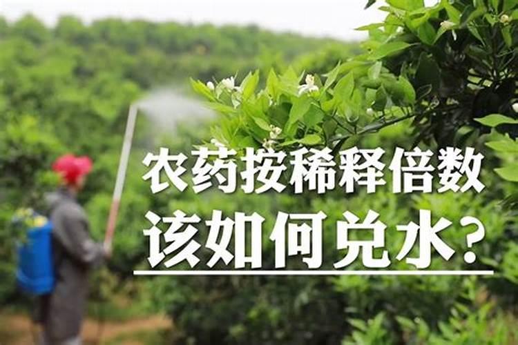 花生饼怎么做肥料养花