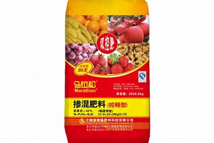 贡菜种子几月播种