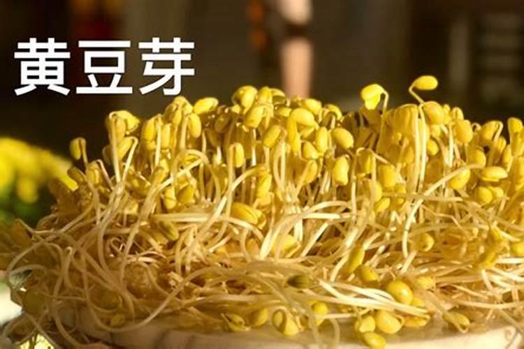 果树结果期用哪种水溶肥效果好？果树膨大期施肥怎么施？