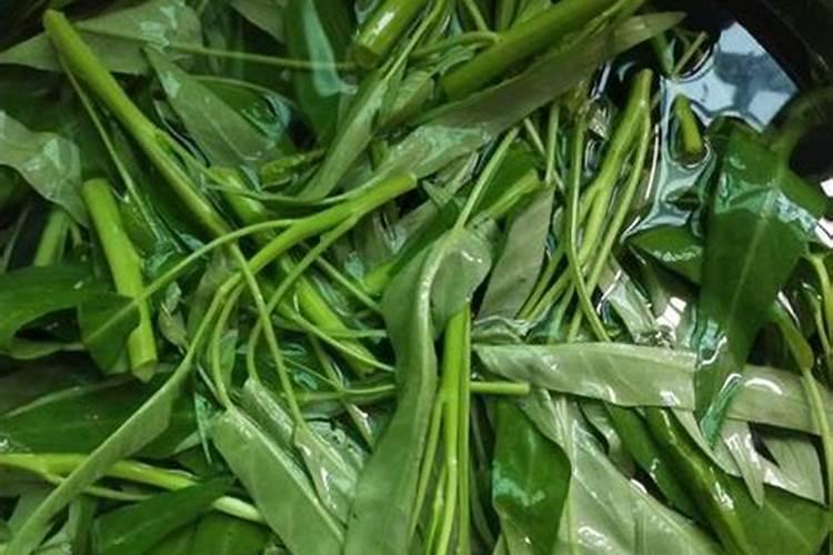 空心菜用什么药控旺能让藤茎变老