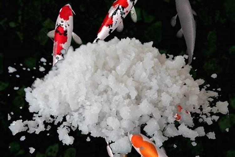 青岛明月蓝海生物科技有限公司明月海藻肥简介