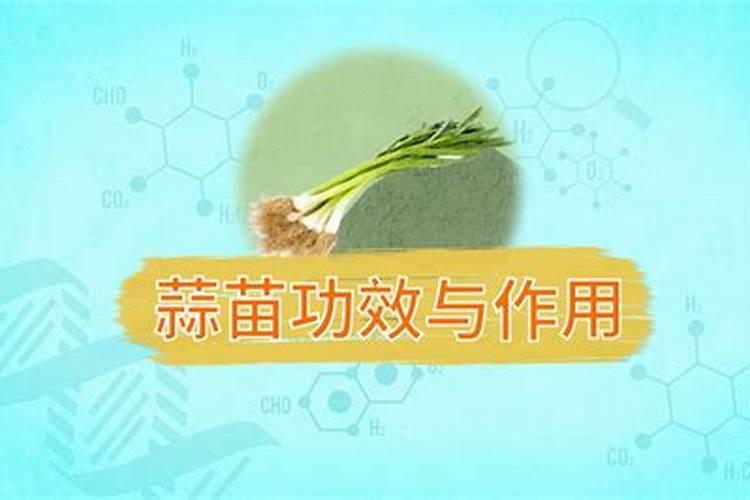 温度15度左右大蒜幼苗能用鱼蛋白吗