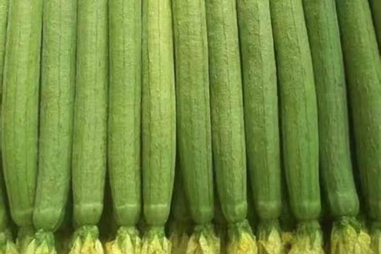 广东丝瓜刚刚结瓜施什么肥好