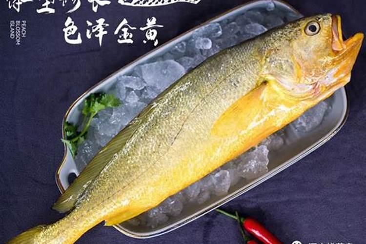 成都千彩水族的孔雀鱼粮通用款为什么没有鱼腥味