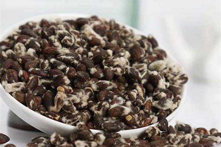 种植草莓需要什么肥料 种植草莓用什么肥料最好