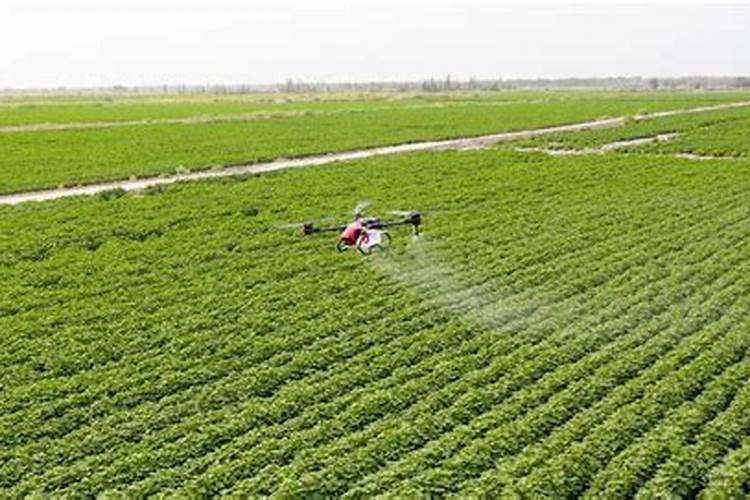 今日郑棉涨了还是跌了