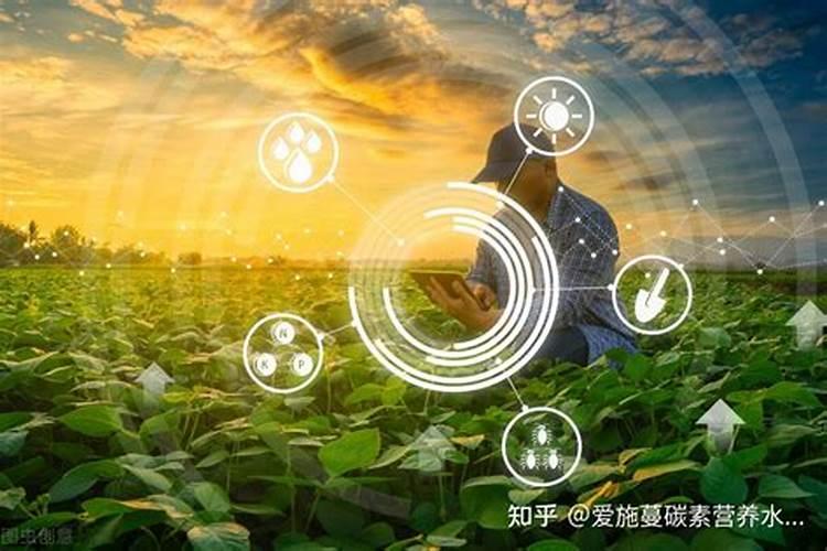 水溶肥十大名牌