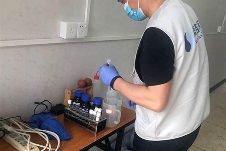 草莓磷肥过量怎么解决