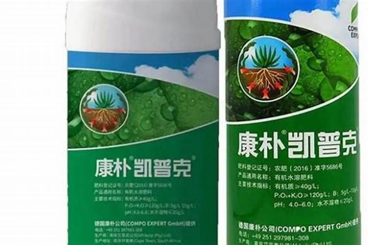 如何治疗霜霉病