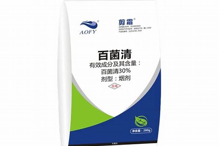 霜霉病后期如何治疗