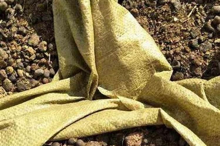 硝酸磷肥是什么？怎么使用好