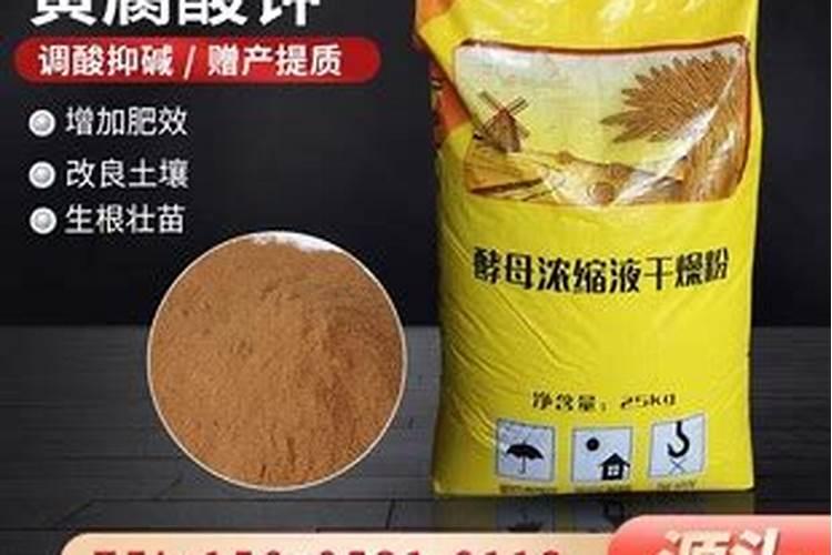 酵母发酵浓缩液干燥粉1型与11型区别