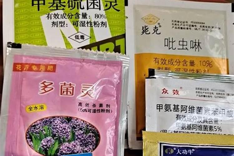 硅谷水溶肥好还是史丹利水溶肥好