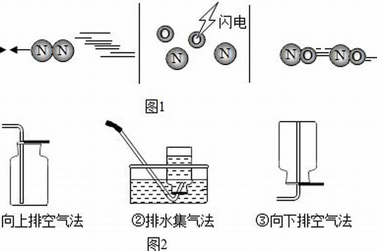 九里香盆景的养护和注意事项,掌握八个要点让它花开爆盆