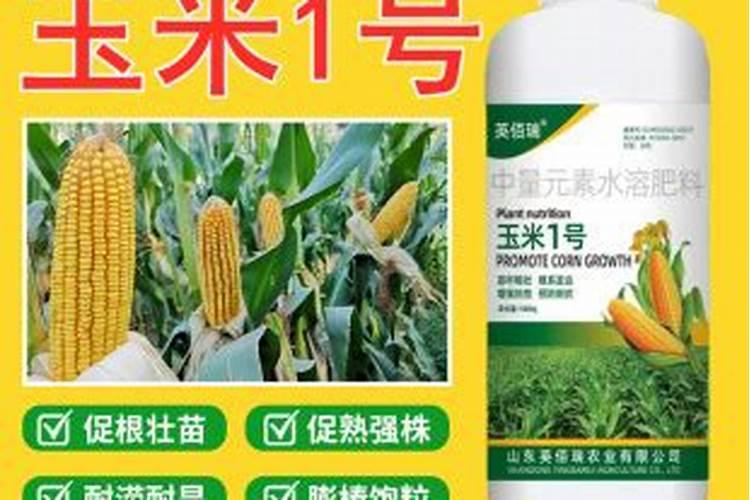 什么肥料对兰花发芽生根开花最好