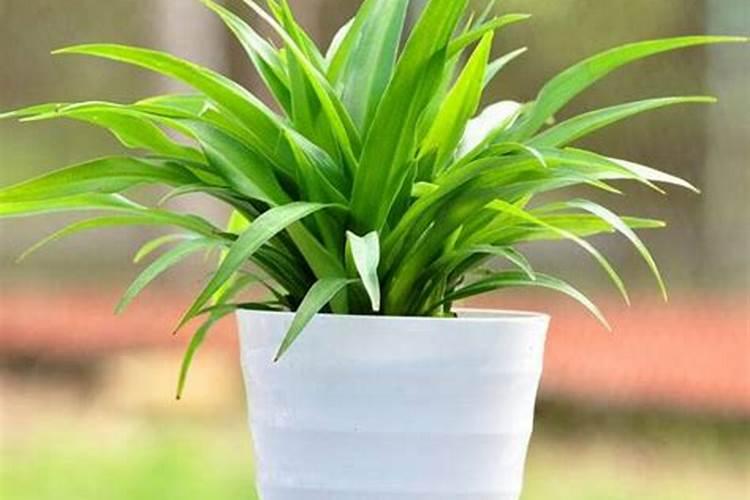 全国十大跨境电商上市龙头？