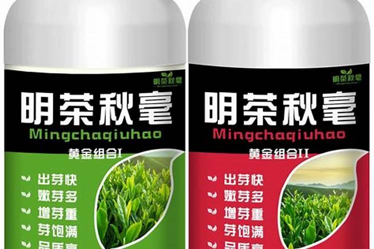 凤尾竹怎么施肥