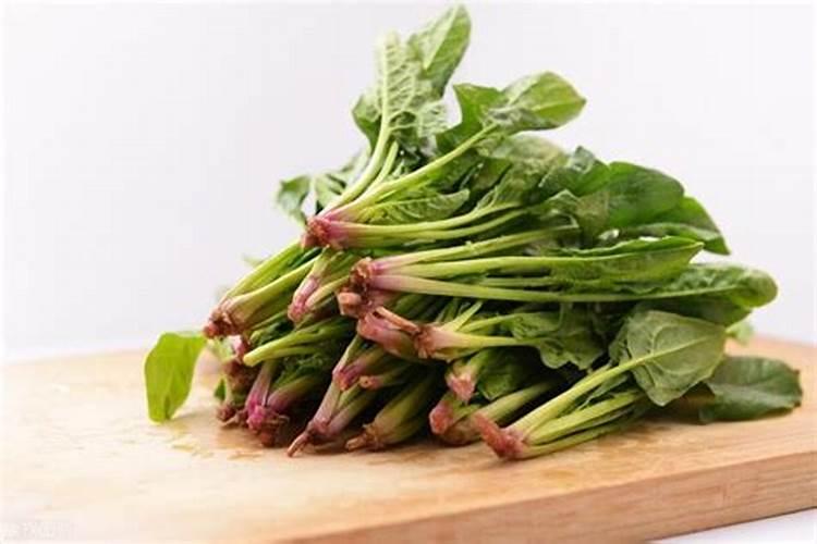 种菜用什么肥料好