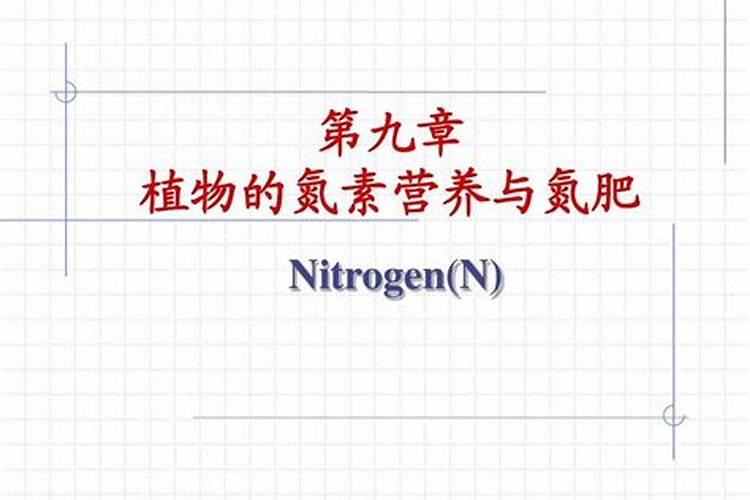 什么肥料无味