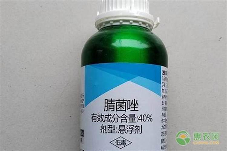 黄瓜叶发黄有斑点用什么办法去除