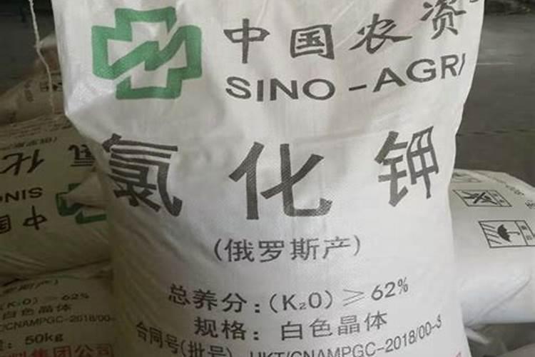 先施肥还是先播种