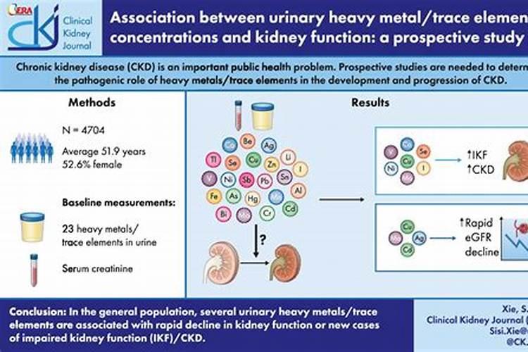 尿液维生素c怎么回事