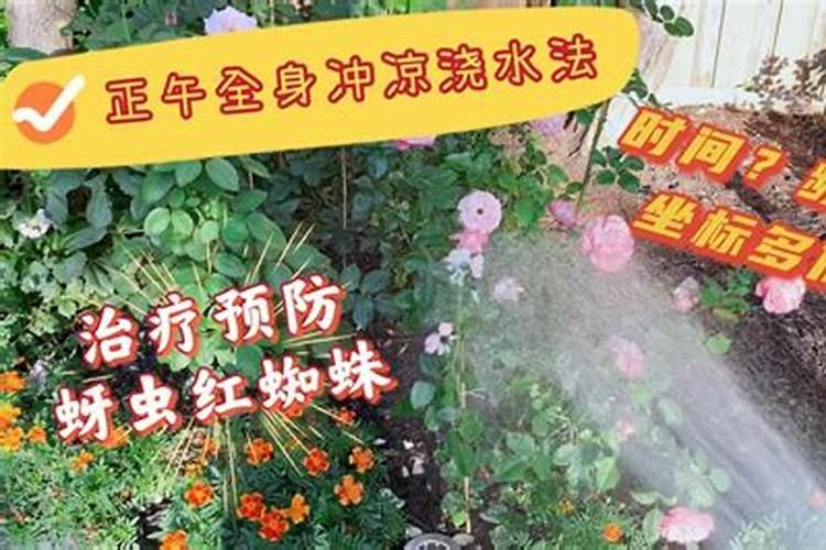芸苔素的危害