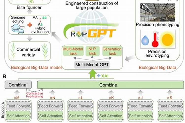肥料ha是什么意思