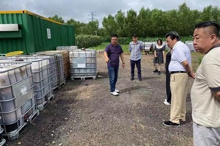 枇杷花期病虫防治技术要点(枇杷树的病虫害管理技术要点)