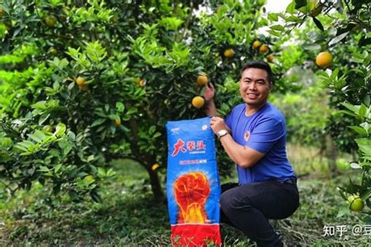 大拳头是颗粒水溶肥吗？是哪个公司研发的？